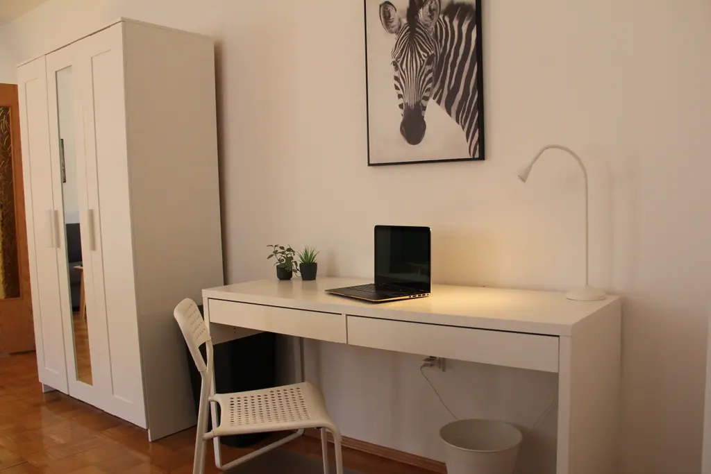 Schreibtisch mit Laptop und Zebrabild