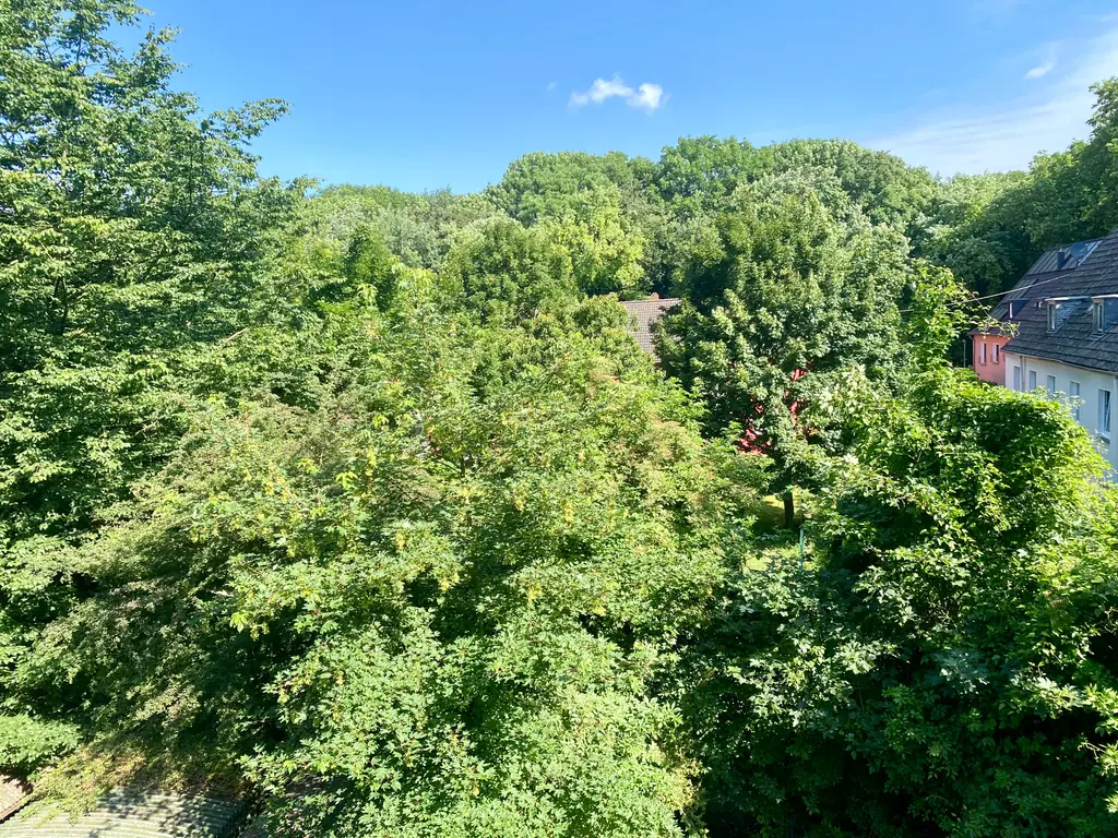 Blick aus dem Fenster ins Grüne