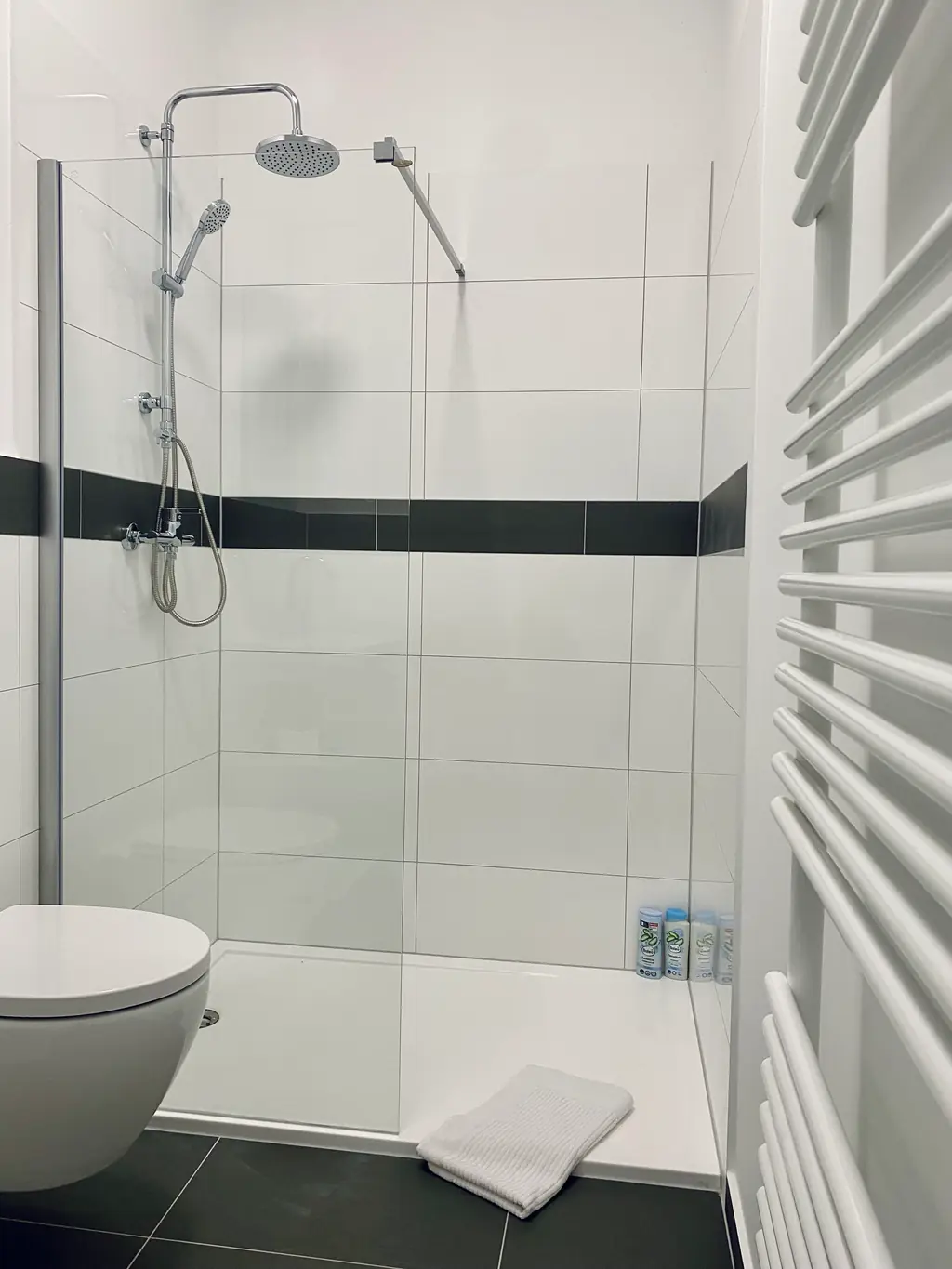 SH Team 3.0: Dusche